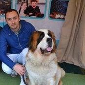 Dmitriy Dgikiya's photo