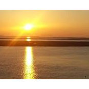 Karl Rothenbach's photo