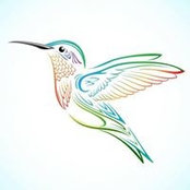Laura Brown's photo