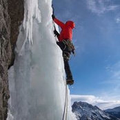 Larry Shiu's photo