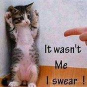 Cindy Smith's photo