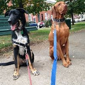 Sylvie Van Helden's photo