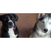 Kathryn Holtzworth's photo