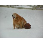 Nadine Smith's photo