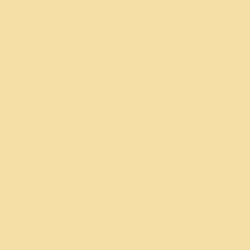 Benjamin Moore Traditional Yellow 170 - Paint