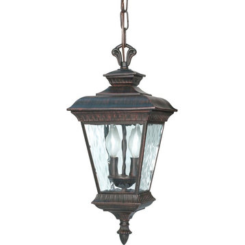 Nuvo Lighting Charter 2 Light Outdoor Hanging Lantern in Old Penny Bronze