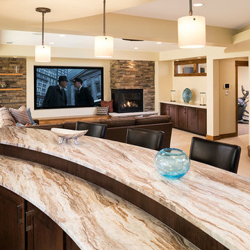 Chaska Luxury Lower Level