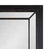 Audubon Framed Wall Mirror, Black, 24x36
