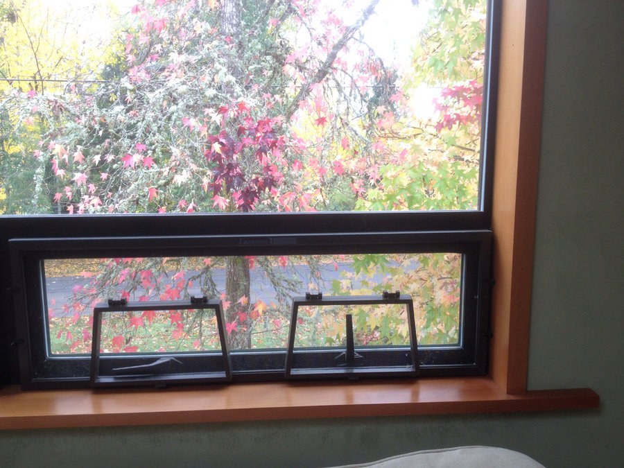Douglas Fir window trim