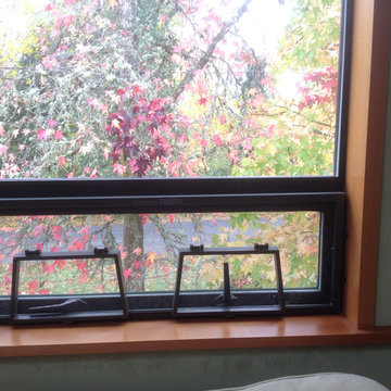 Douglas Fir window trim