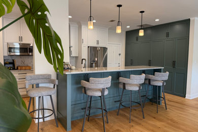 Kitchen - transitional kitchen idea in Chicago