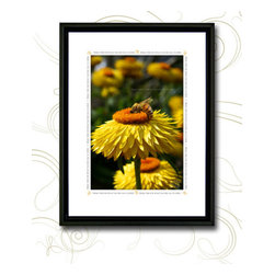 Botanical Series - Artwork