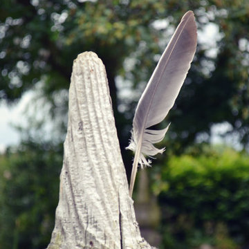 Wildlife garden