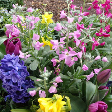 Fragrant Spring Flowers