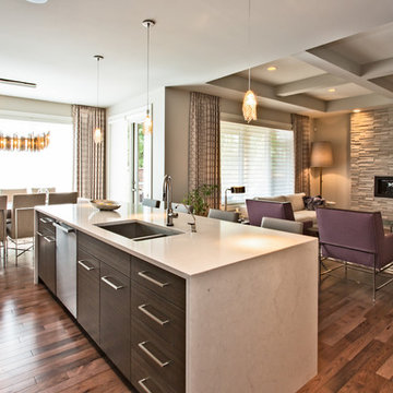 Contemporary Urban Infill