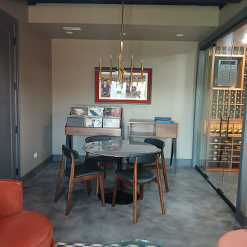 Downers Grove walk out basement remodel