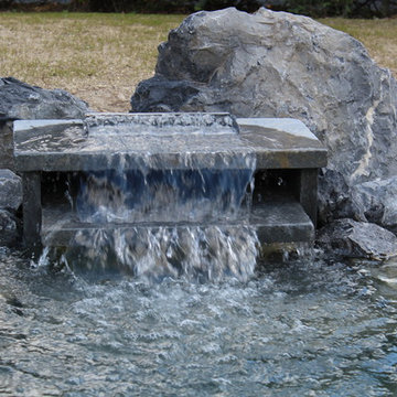 Bassin et allée