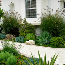 Mediterranean Landscape