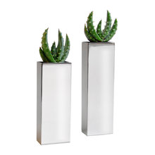 Indoor Plants