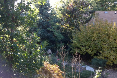 Design ideas for a farmhouse landscaping in Other.