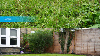 Garden Clearance Project in Basingstoke