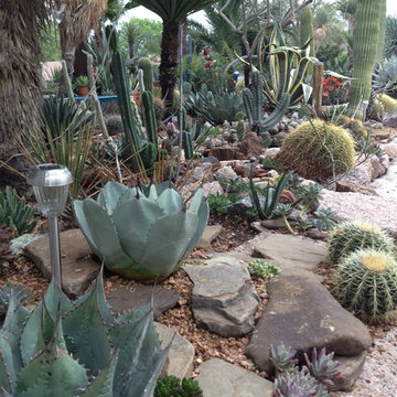 cactus & Succulent Gardens