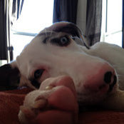 Melissa Matos's photo