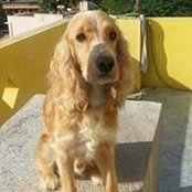 Bhavya Dhanaraj's photo