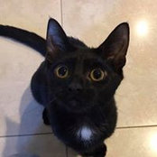 Letizia Cinelli's photo