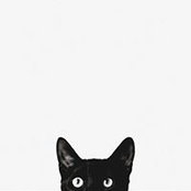 Sandra AV's photo