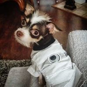 Heidi Maddox's photo