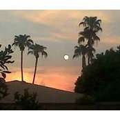 Robert Luna's photo