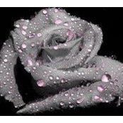 Natalie Spiteri's photo