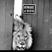Sue Weebers foto