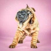 Lolo Ndlovu's photo