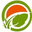Walimglobal Environmental Services