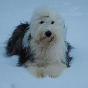 Cindy Bender Johnson's photo