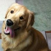Doug Hildreth's photo