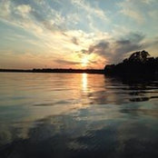 Tish Moore's photo