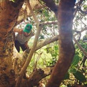 Amy Shuman's photo