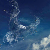 maher shamlawi's photo