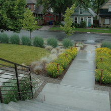 Landscape Ideas