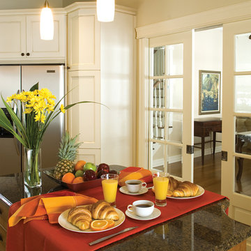 10 Lite French Primed Pocket Door