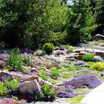 Rock Gardens