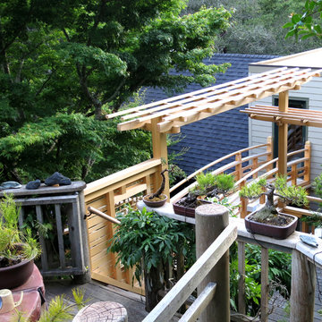 Overview of Bridge and Pergola