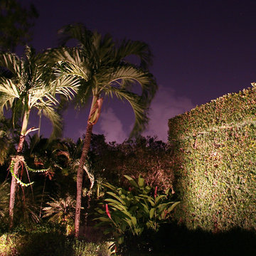 Landscape Lighting