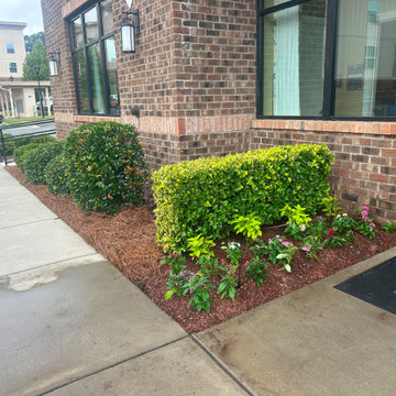 Complete Landscape & Hardscape Enhancement