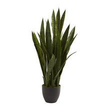 Home Accents