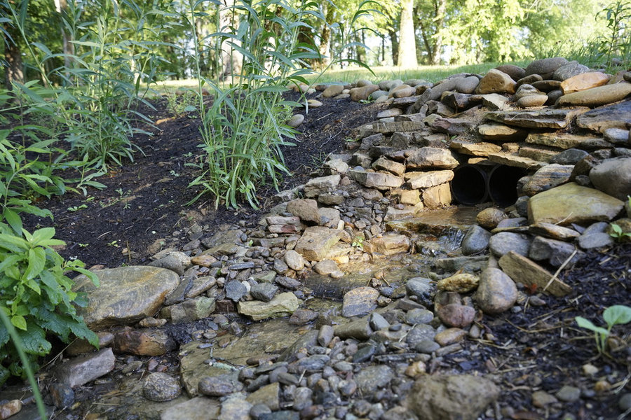 French Broad Rain Garden