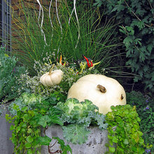 outdoor pots